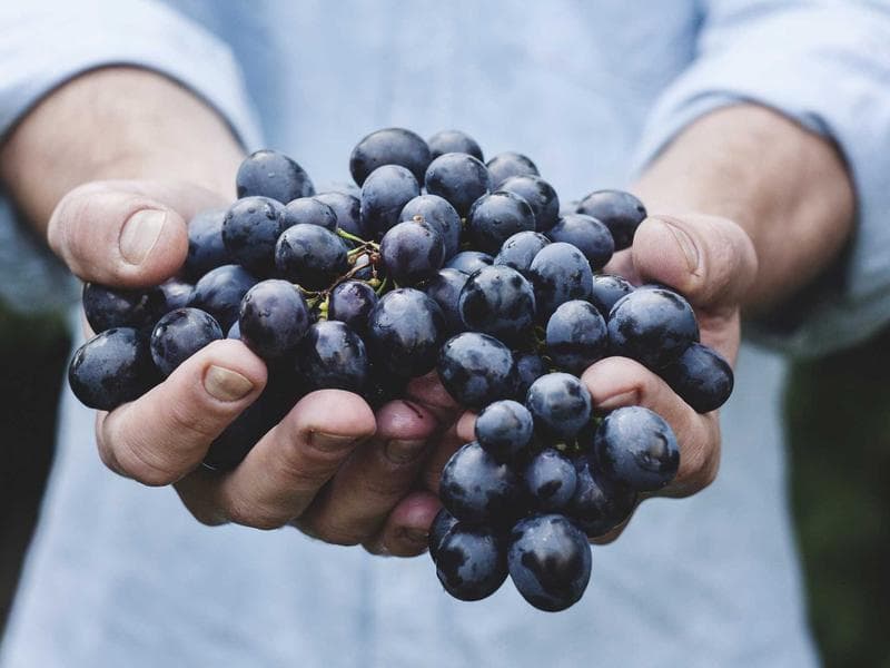 Cinque Terre – celodenní karta vlaků a stezek